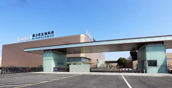 鐫定時代坐標，隆力奇譜寫發(fā)展新華章