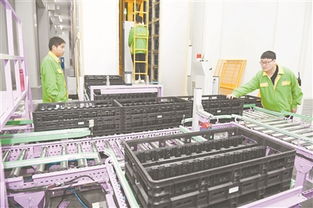 綠色能源揚(yáng)帆海外 余姚佳貝思以技術(shù)開(kāi)發(fā)引領(lǐng)市場(chǎng)新篇